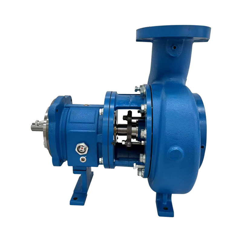 Model 3196 Pumps Proses Kimia